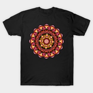 Amanita Mandala by Mandala Magic T-Shirt